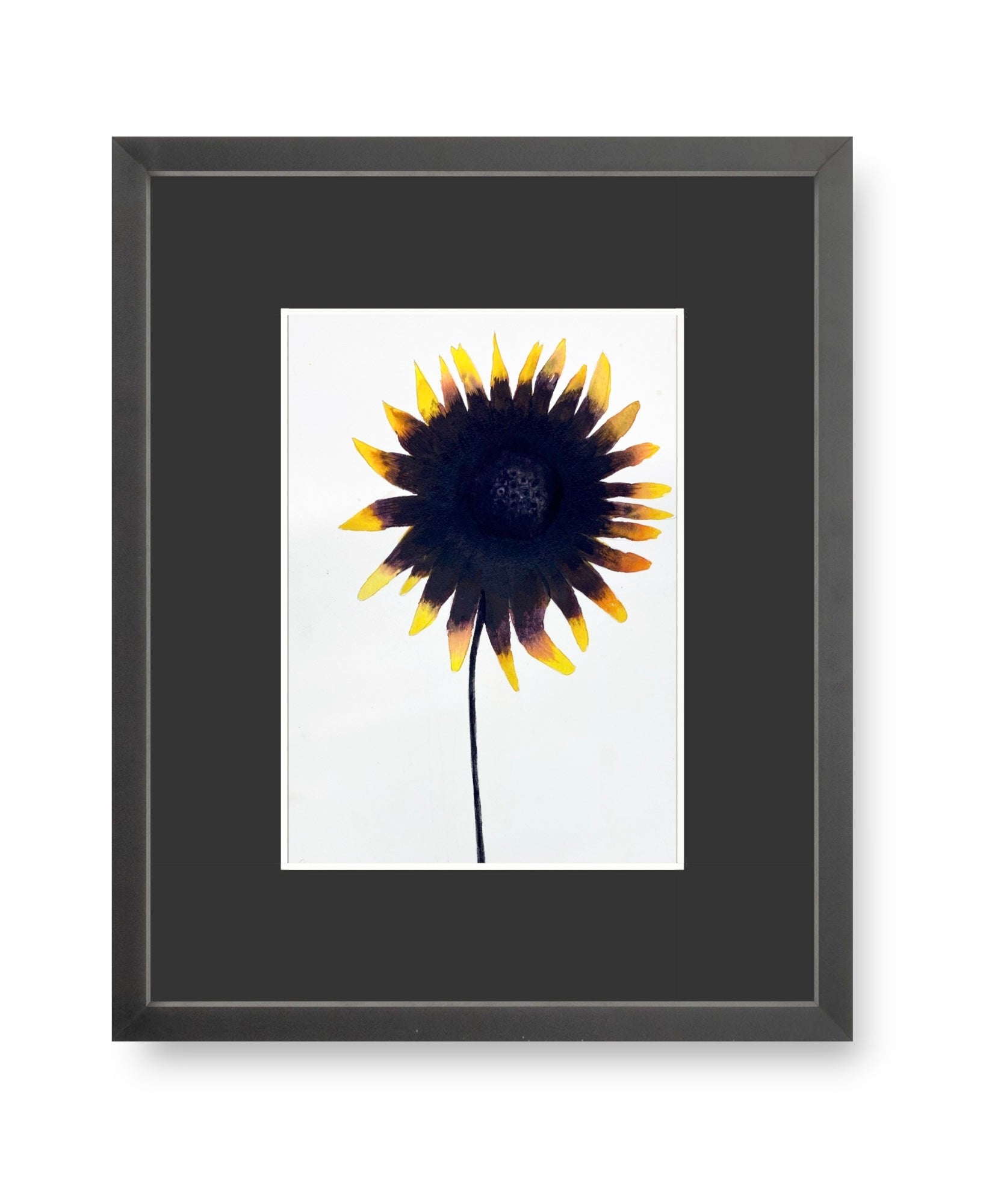 Framed Sunflower Watercolor